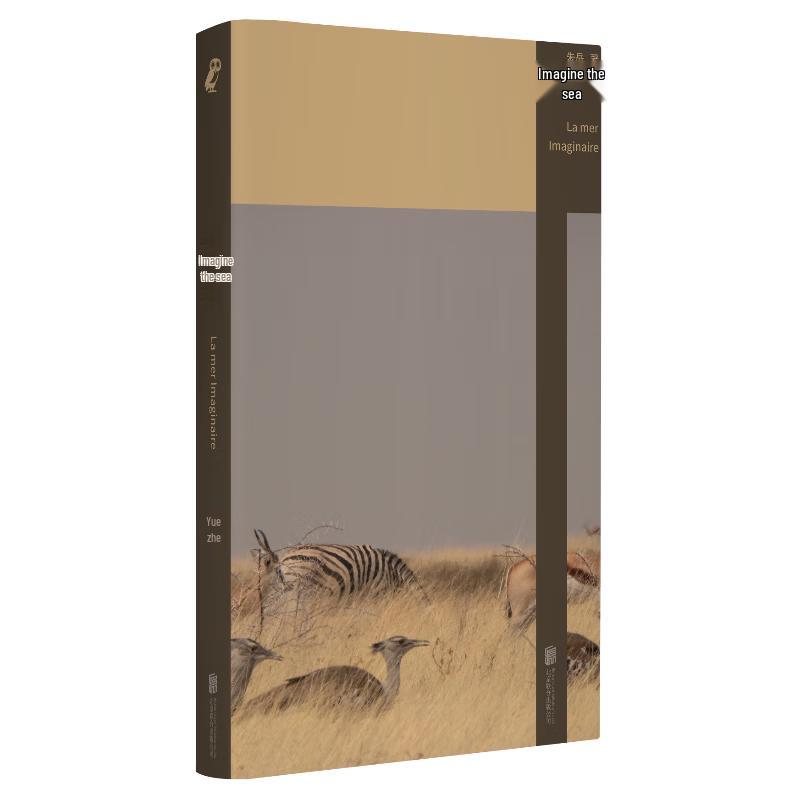 Imagination Sea: A Collection of Short Stories