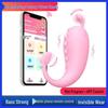 Remote Control Vibrating Egg: Strong Vibration Wearable Vibrator for Women