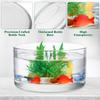 HANABASS Round Glass Terrarium Vase, Transparent Galantar for Hydroponic Cultivation, 3.15" Diameter, 5.91" Height, Interior Decor, for Succulents