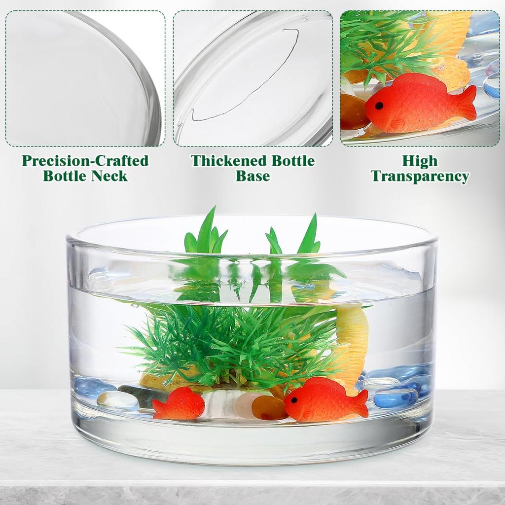 HANABASS Round Glass Terrarium Vase, Transparent Galantar for Hydroponic Cultivation, 3.15" Diameter, 5.91" Height, Interior Decor, for Succulents