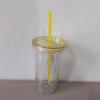 Customizable 16OZ Double-Layer Plastic Straw Cup with Lid and Logo