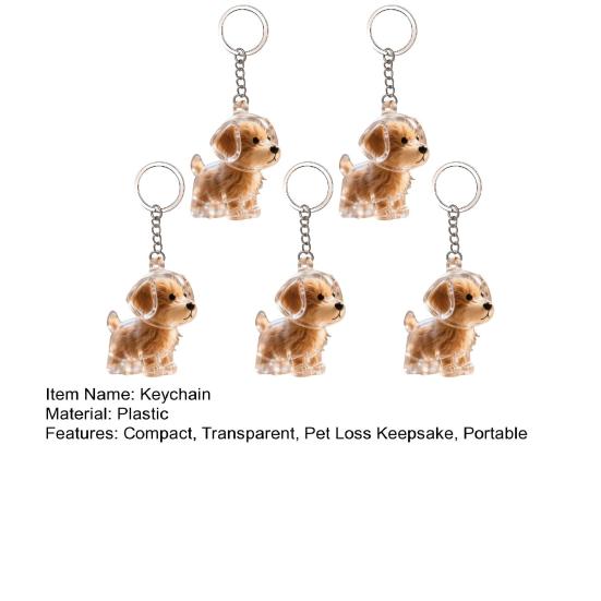 Dog Hair Storage Bottle Pet Memorial Keychain Transparent Hair Locket