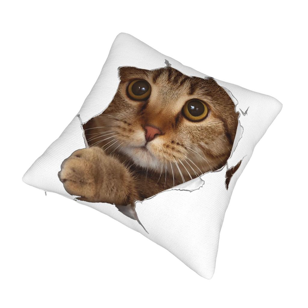 Sweet Kitten Torn Cloth Cat Lover Cat Owner Cat Lady Pillowcase Cushion Cover Decorations Throw Pillow Case Cover Home Zipper