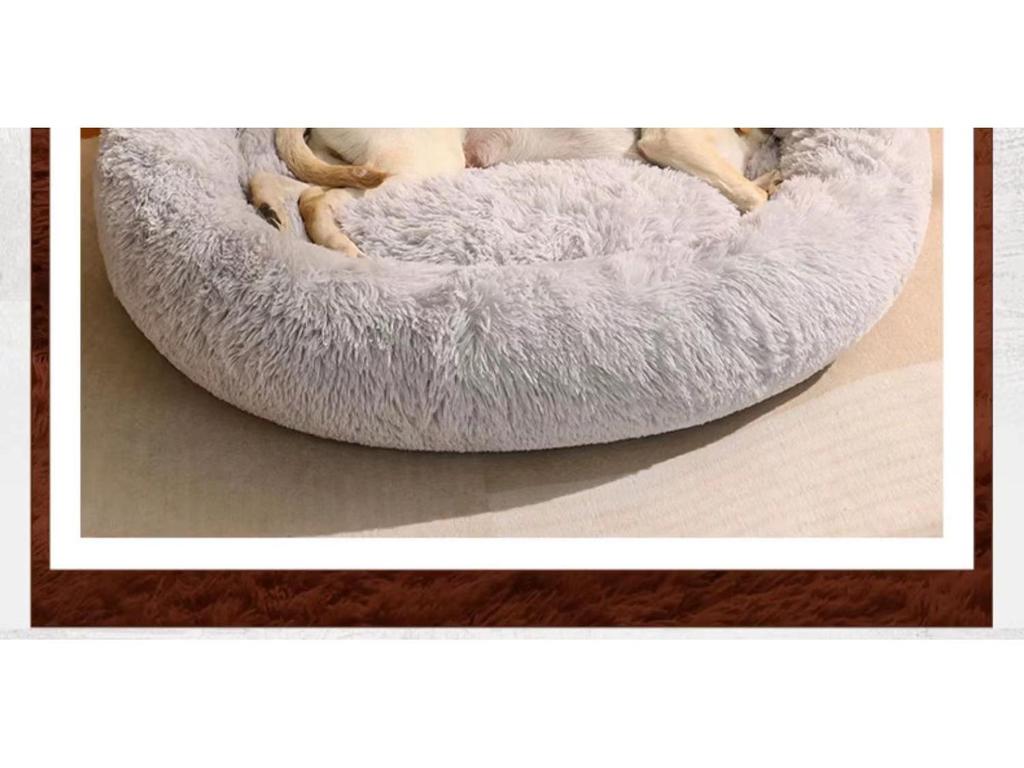 Winter Warm Bear Paw Pet Bed - Cute Four Seasons Universal Dog & Cat Bed