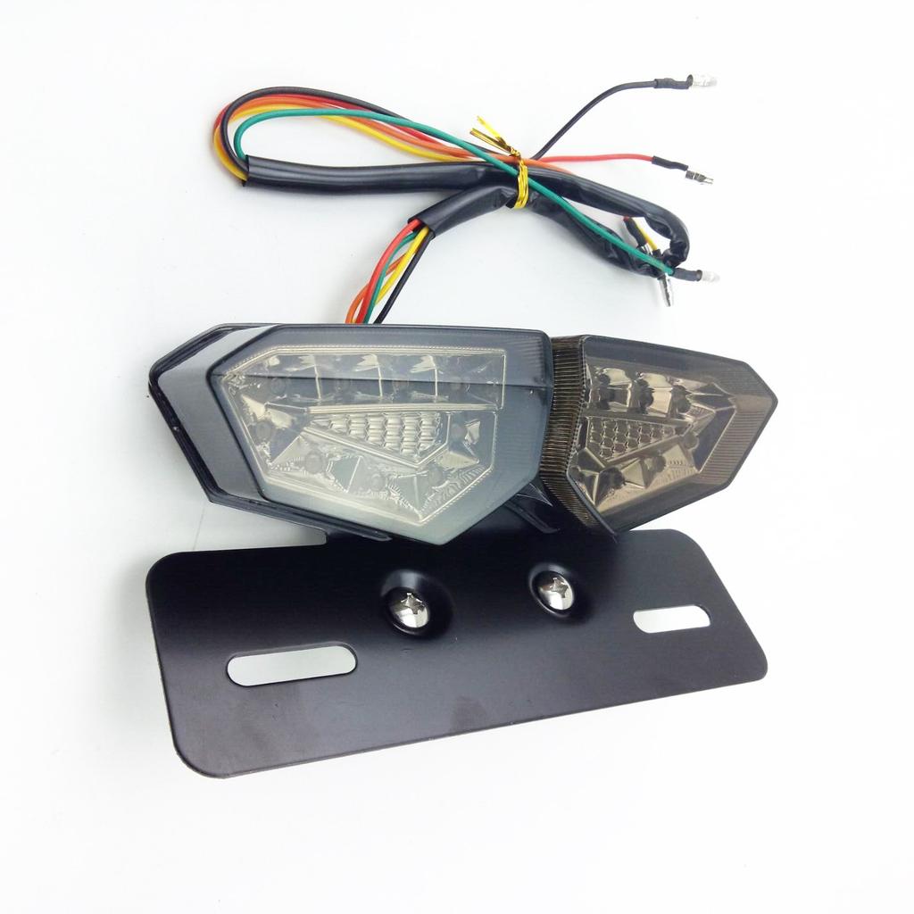 Ranzek Turn Signal Lamp License Plate Bracket Smoke Lens Integrated Tail Turn Signal Light
