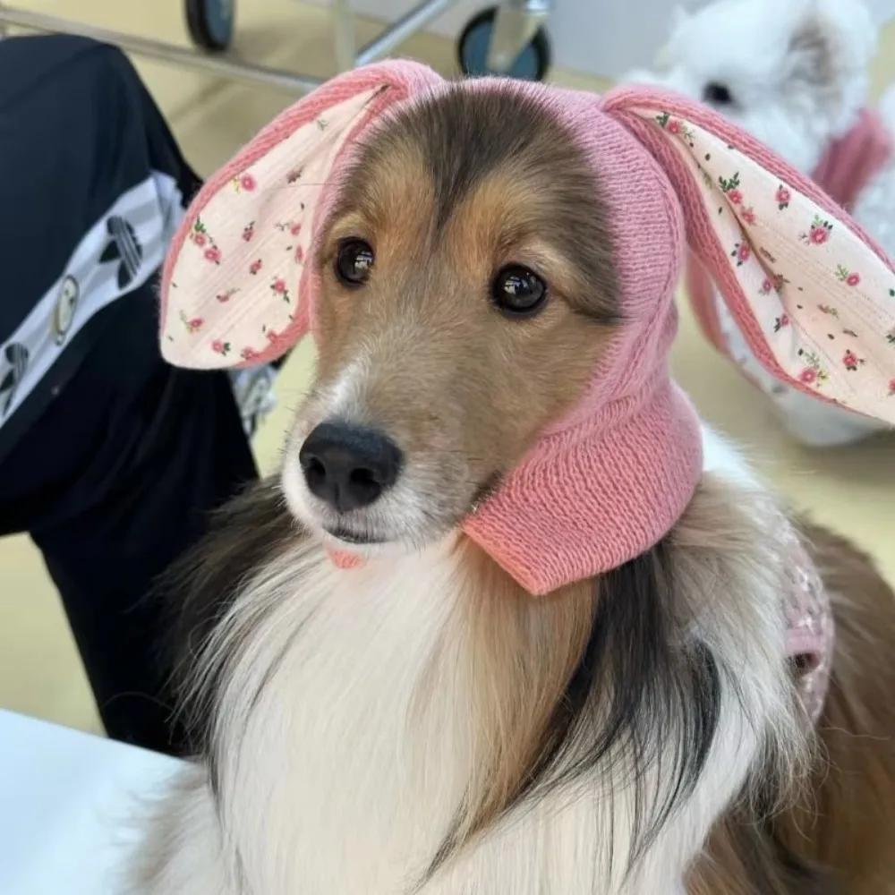 New Dog Hat Fall Winter Windproof Warm Cover Cat Cute Rabbit Ears Knitted Hat Kitten Puppy Headwear Pet Earmuffs Accessories