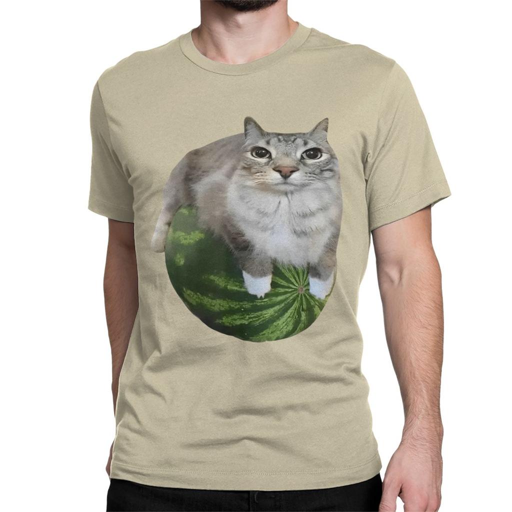 Watermelon Cat Silly T Shirt for Men Women 100 Cotton TShirt Round Collar Funny Meme Tee Shirt Short Sleeve Clothes Plus Size