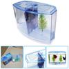 Transparent Betta Isolation Box Single/Double Grid Fish Breeder Box  Office Fish