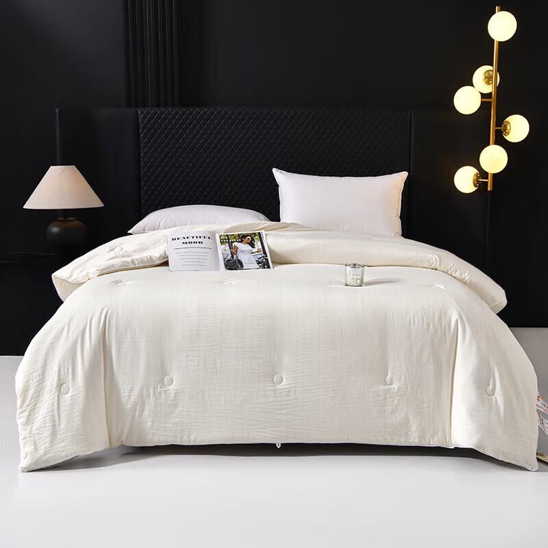 Skin-Friendly Polyester Winter Quilt