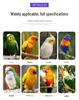Luxury Multi-Bird Iron Cage: Elegant Medium-Large Bird Villa for Parrots
