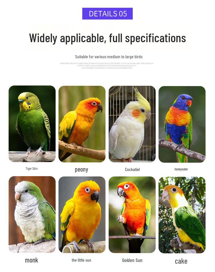Luxury Multi-Bird Iron Cage: Elegant Medium-Large Bird Villa for Parrots