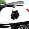 QT2170#15cm Black Cat with Yellow Eyes Emerging Through Ragged Hole Car Sticker for Laptop, Truck, Phone, Motorcycle, Window