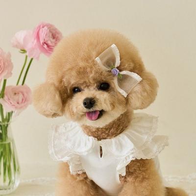 Fashion Lace Pet Summer Vest Soft Flying Sleeve Dog Clothes Breathable Cat Base Skirt Small Animal