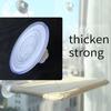 Suction Cups Replacement for Pet Hanging Swing Bed Window Sleeping Nest Hammock Beds Perches Seats Diameter 8.5cm