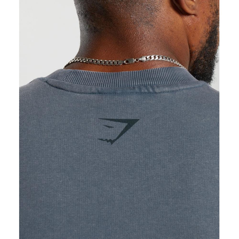 Gymshark Heritage Washed Short Sleeve Crew Titanium Blue A4a8d Ucms