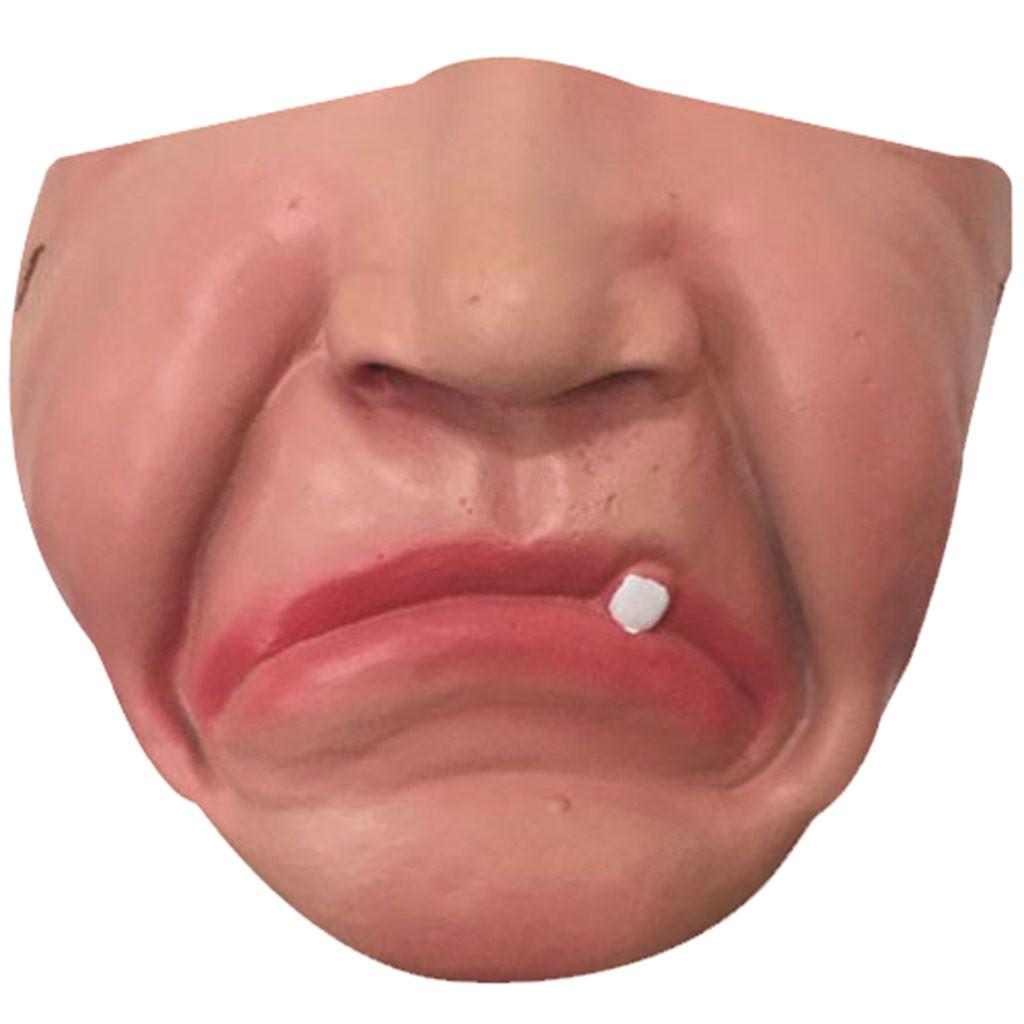 Mask Big Lips Headgear Pet  Mask
