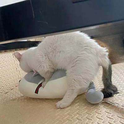 Chat Mâle Créatif Amusant Jouet d'Œstrus Mignon Interactif Accouplement Auto Haut Sexe Animaux de Compagnie Dormant Compagnon Chats Poupée Soulagement et Relaxation Produits et Fournitures pour Animaux de Compagnie