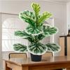 High-end Luxe Imitatie Groene Planten Benjamina Voor Een Elegante Woonkamerdecoratie. Grote Binnenpot Kunstboom.