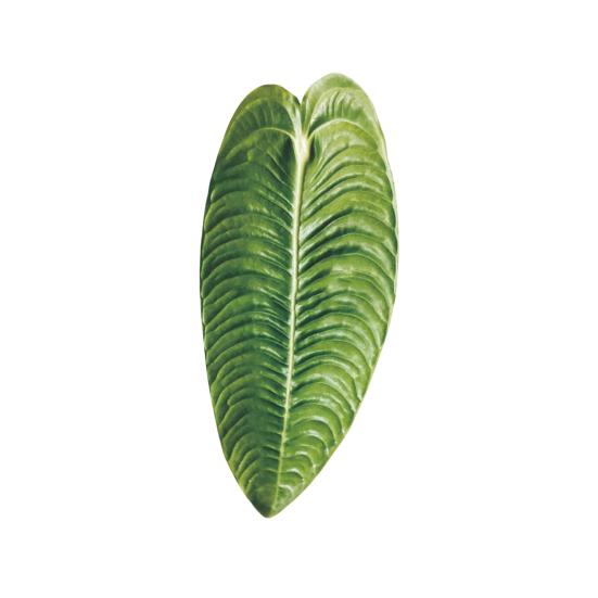 Yousheng Simulated Tropical Leaf Decoration Acrylic Epoxy Resin Green Leaf Sign DIY Refrigerator Magnet Mobile Phone Airbag Holder Accessories