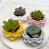 Plastic Growing Pots 3D Printed Flower Container Handmade Succulent Plant Pot  for Desktop Decor