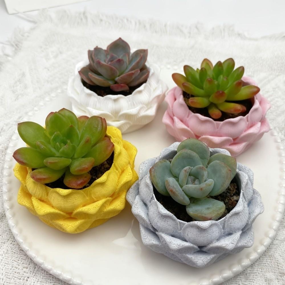 Plastic Growing Pots 3D Printed Flower Container Handmade Succulent Plant Pot  for Desktop Decor