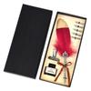 Magic Academy Quill & Student Fountain Pen Gift Set