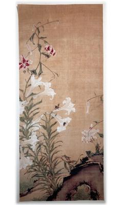 Toalhas – Toalhas de banho