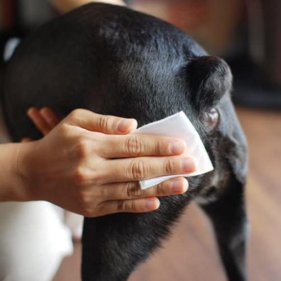 WAFONA Spray for Whole Body and Deodorizing All-in-One Refill, 2000ml, Care, Disinfecting, (Dog Supplies)