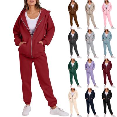 Kadın Modası Kapşonlu Uzun Kollu Düz Renk Fermuarlı Elastik Bel Bol Sweatshirt Takımı