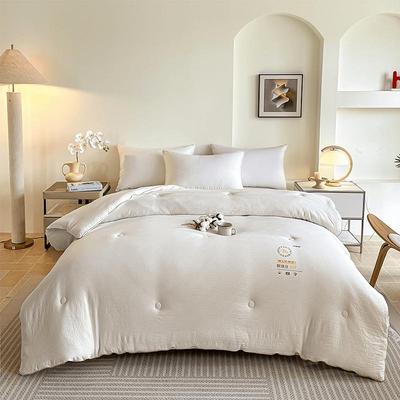 Muji Home Soft Soy Protein Duvet