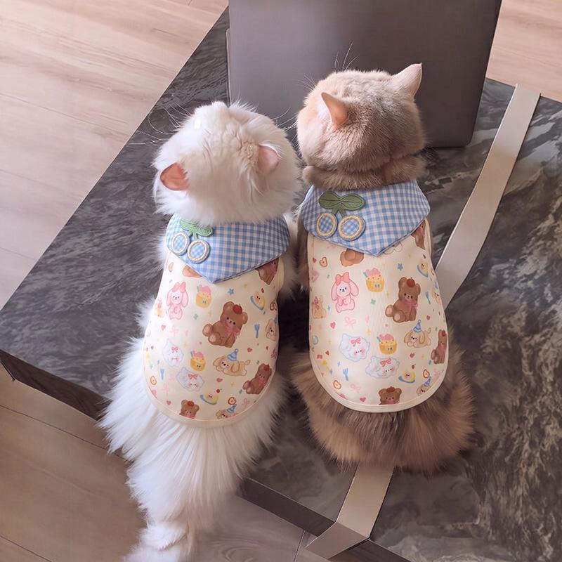 Dog clothes autumn and winter cartoon Bigbear cat Pomeranian puppet teddy small dog velvet warm pet vest