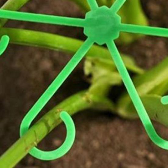 20Pcs Plant Stem Supports Indoor Plants Stem Holders Reusable Monstera Plant Supports Prevent Stem Drooping And Breakage for Potted Plants Roses