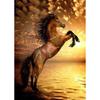 5D Diamond Painting Animal Rhinestone Picture Full Round DIY Diamond Embroidery Horse Cross Stitch Kit Mosaic Home Decoration