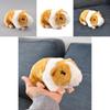 Lifelike Orange Guinea Pig Plush Toy For Children's Collection Gifts