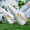 Herren Fußballschuhe Jugend Sportschuhe Fußball Trainingsschuhe Kunst Make-Up Rasen Kinder Fußballschuhe