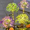 Waterproof Solar Hydrangea Flower Lamp Landscaping Landscape Light  Villa Courtyard Landscape Court