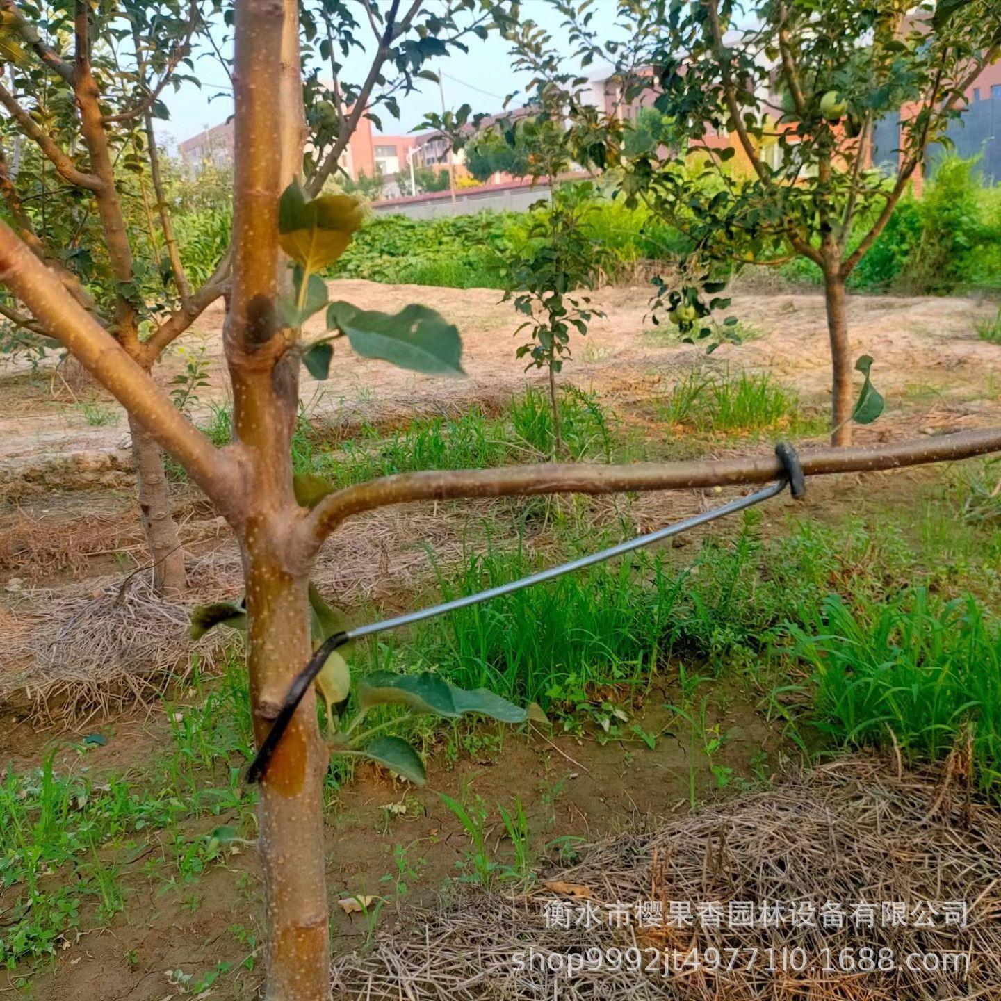 

Інструмент для витягування гілок плодових дерев, Інструмент для розділення бічних гілок, Інструмент для формування гілок, Інструмент для згинання та притискання гілок One Size білий