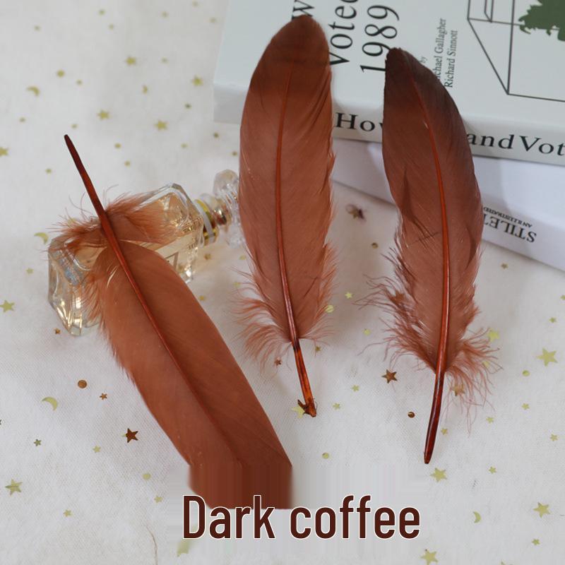 Barevná barvená velká husí pera pro DIY řemesla, ručně vyráběné dekorace a projekty pro mateřské školy