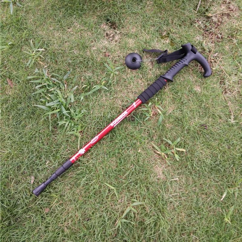 Brangdy Aluminum Alloy 3-Section T-Handle Trekking Pole