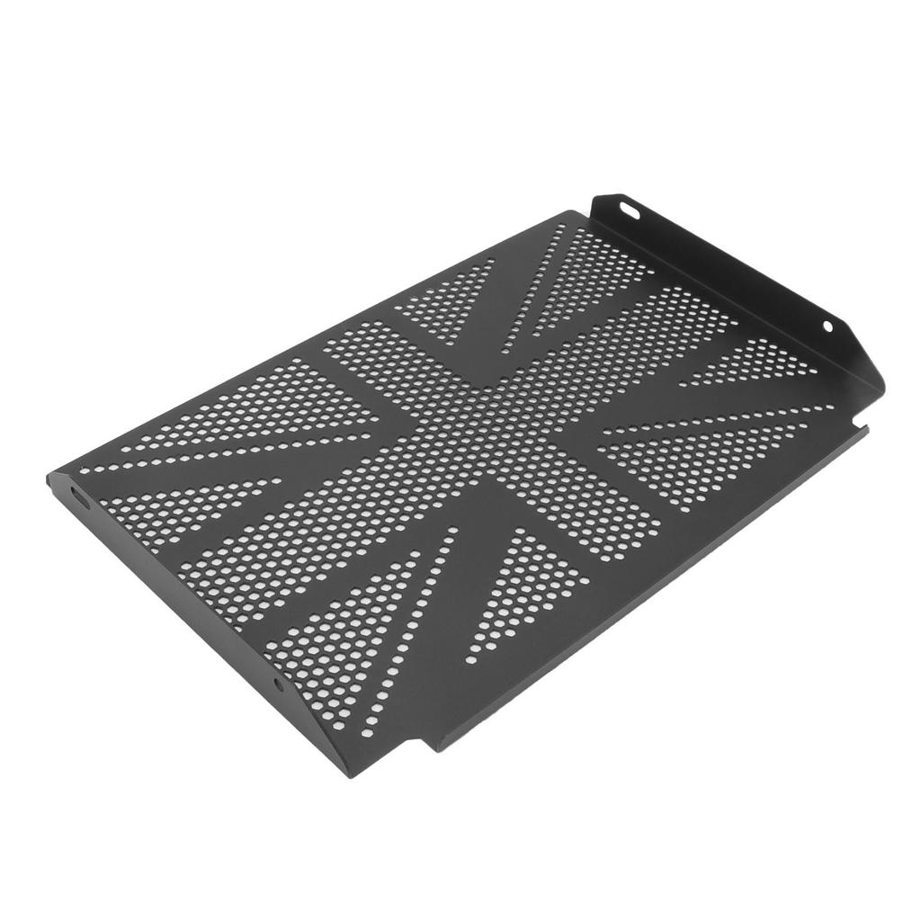 Radiator Grille Guard Cover Stainless Steel Motorcycle Radiator Protector for Trident 660