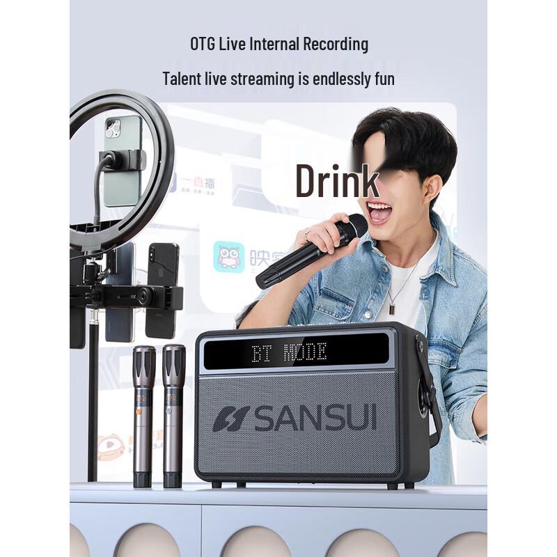 SANSUI G12 High-Power Outdoor Bluetooth Karaoke Speaker