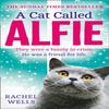 A Cat Called Alfie by Rachel Wells Paperback Book 9780008334673