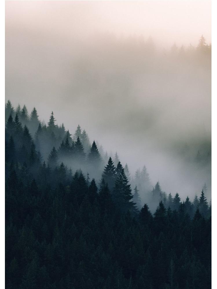 

Минималистичный туманный еловый лес, туманный горный склон, печать плакатов, холст, картина, настенное искусство для гостиной, украшение для дома 21x30cm No Frame