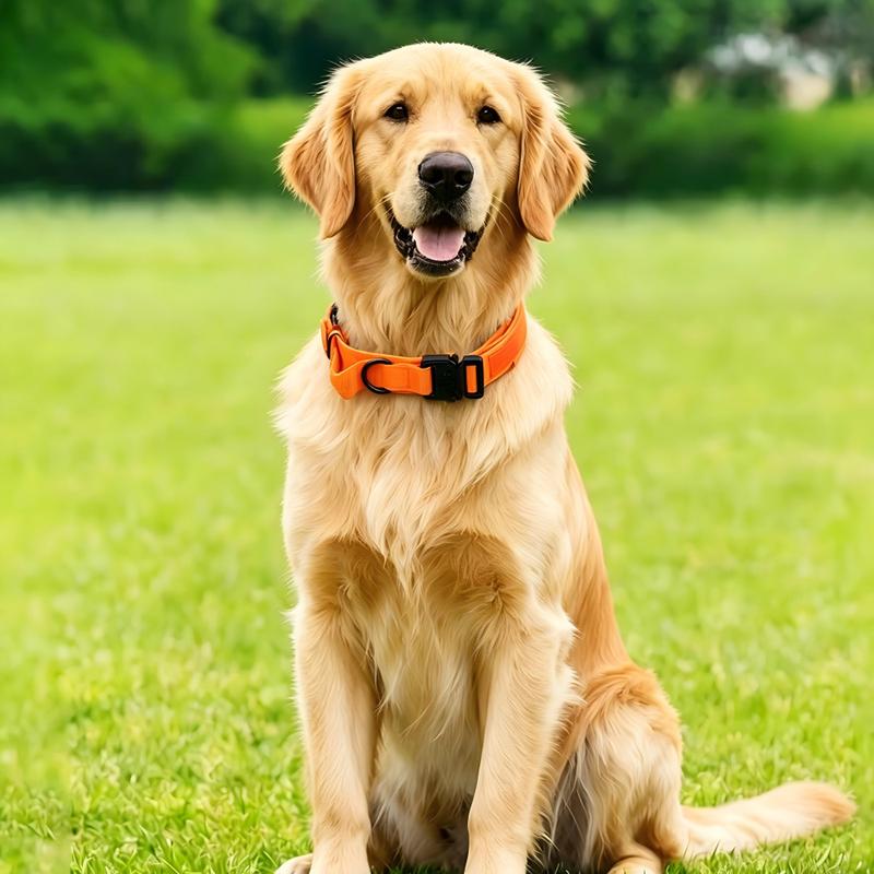Tactical Dog Collar 7 Optional Colors Heavy Duty Metal D-ring Adjustable Military Training Collar For Medium Large Dog