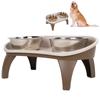 Dog Bowl Tray Pet Dining Table Double Stainless Steel Bowl Dog Feeder NonSlip Pet Bowl