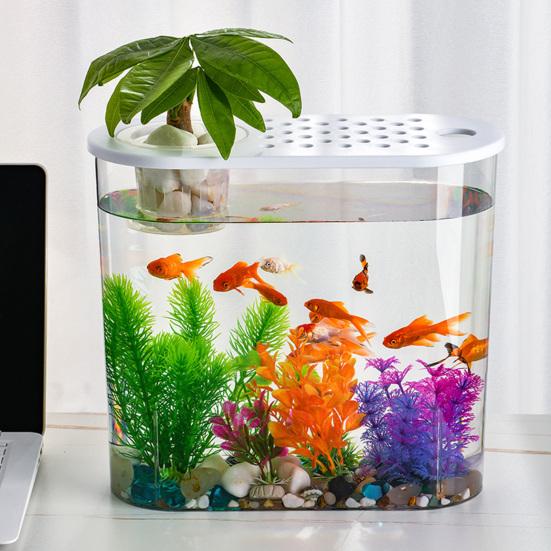 Elegante ciotola per pesci da tavolo con fori e coperchio, coltura idroponica, perfetta per la casa o l'ufficio.