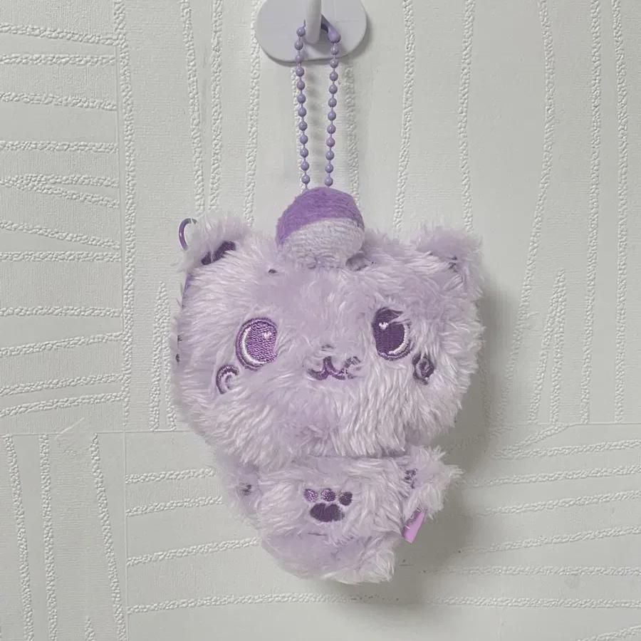 

Бора Кури Рику Цвет Желания Nct Wish