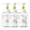 Moisturizing Foam Hand Soap