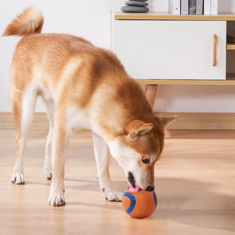 

Rubber Dog Toy Rubber Ball Bite Resistant Pet Chew Ball Funny Dog Training Ball Training