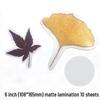 Self-Adhesive Cold Laminating Film - 6 Inch, A4, A6 for Photos, Bookmarks, and Leaf Specimens